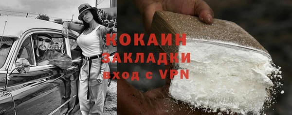 сатива Алзамай