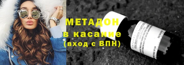 сатива Алзамай