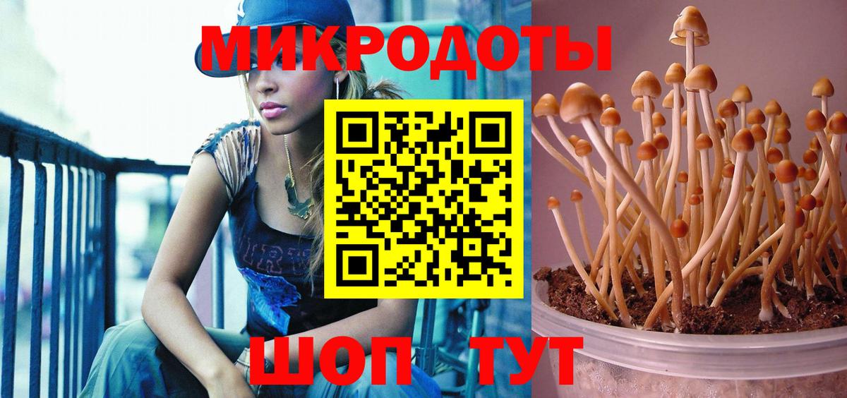 Галлюциногенные грибы MAGIC MUSHROOMS  Псилоцибиновые грибы мухоморы  Вход с VPN  Балашиха 